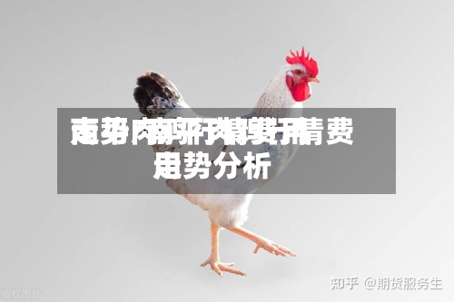 南平肉鸡行情费用
走势/南平肉鸡行情费用
走势分析-第2张图片