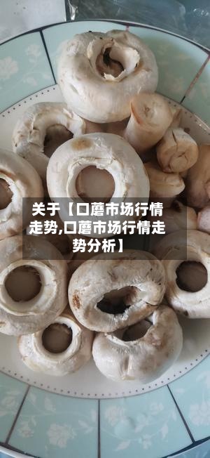 关于【口蘑市场行情走势,口蘑市场行情走势分析】