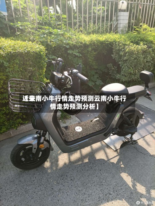 近来【云南小牛行情走势预测云南小牛行情走势预测分析】