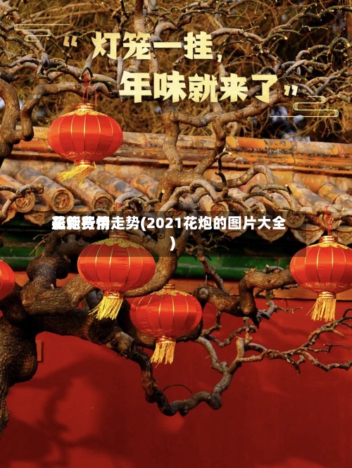 花炮费用最新行情走势(2021花炮的图片大全)