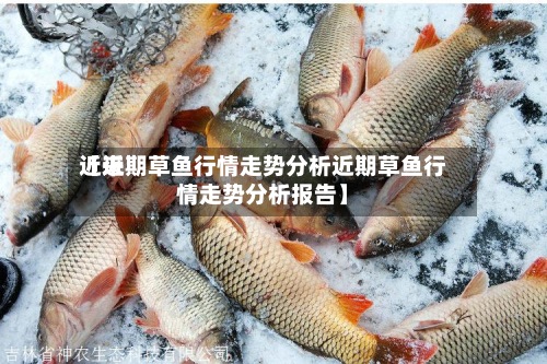 近来【近期草鱼行情走势分析近期草鱼行情走势分析报告】
