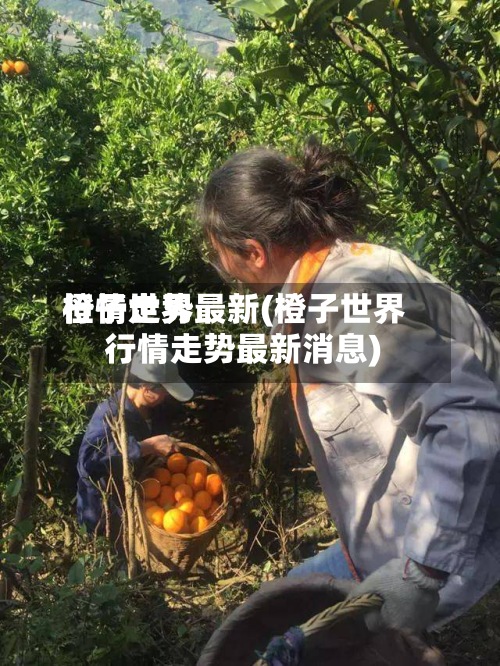 橙子世界行情走势最新(橙子世界行情走势最新消息)