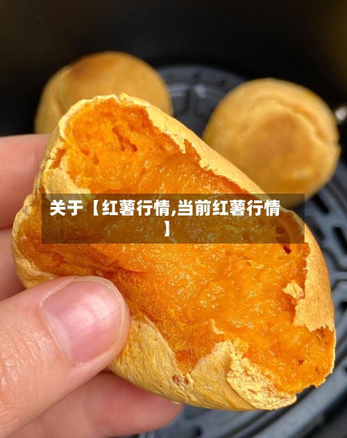 关于【红薯行情,当前红薯行情】-第3张图片
