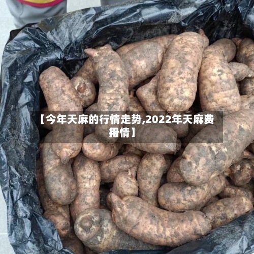 【今年天麻的行情走势,2022年天麻费用
行情】