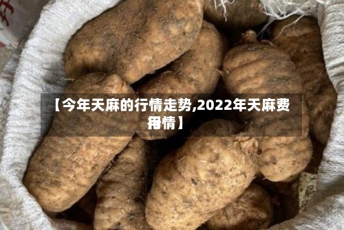 【今年天麻的行情走势,2022年天麻费用行情】-第2张图片