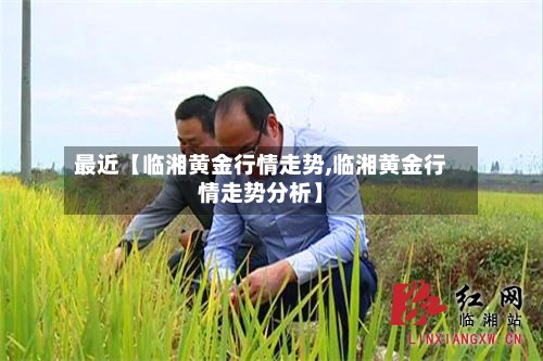 最近【临湘黄金行情走势,临湘黄金行情走势分析】-第2张图片