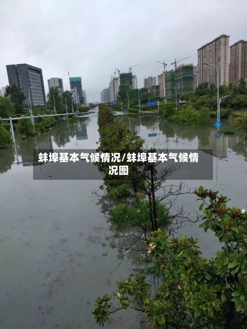 蚌埠基本气候情况/蚌埠基本气候情况图