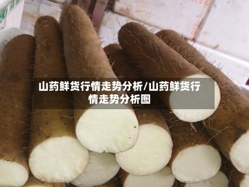 山药鲜货行情走势分析/山药鲜货行情走势分析图-第2张图片