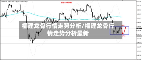 福建龙骨行情走势分析/福建龙骨行情走势分析最新-第2张图片