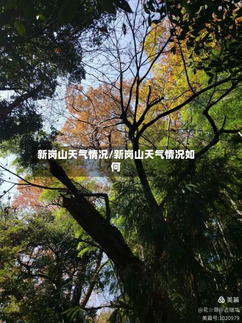 新岗山天气情况/新岗山天气情况如何-第2张图片
