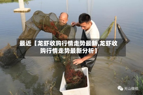 最近【龙虾收购行情走势最新,龙虾收购行情走势最新分析】