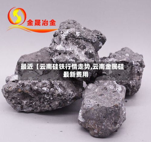 最近【云南硅铁行情走势,云南金属硅最新费用】-第3张图片