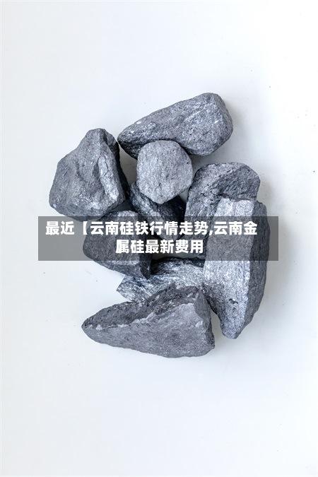 最近【云南硅铁行情走势,云南金属硅最新费用】-第2张图片