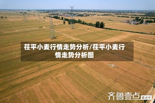 茌平小麦行情走势分析/茌平小麦行情走势分析图-第3张图片