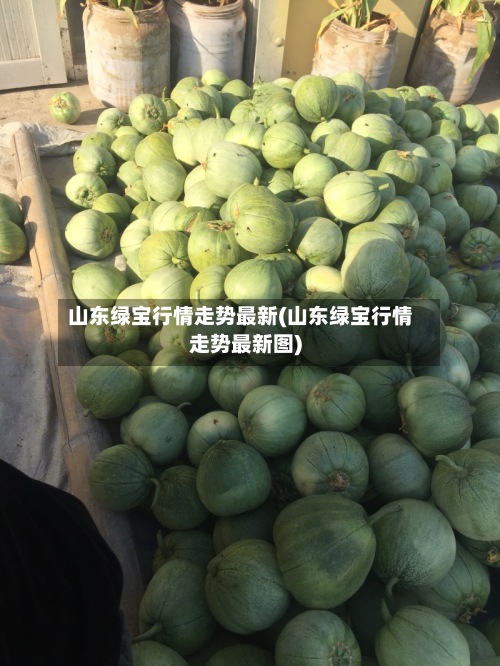 山东绿宝行情走势最新(山东绿宝行情走势最新图)-第2张图片