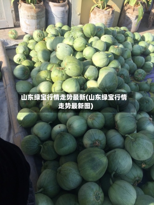 山东绿宝行情走势最新(山东绿宝行情走势最新图)