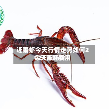 近来
【青虾今天行情走势如何2021青虾费用
今天市场价】-第3张图片