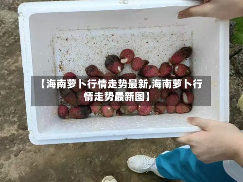 【海南萝卜行情走势最新,海南萝卜行情走势最新图】-第3张图片