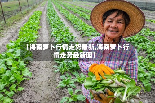 【海南萝卜行情走势最新,海南萝卜行情走势最新图】