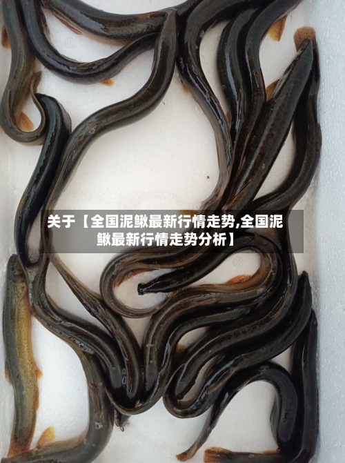 关于【全国泥鳅最新行情走势,全国泥鳅最新行情走势分析】