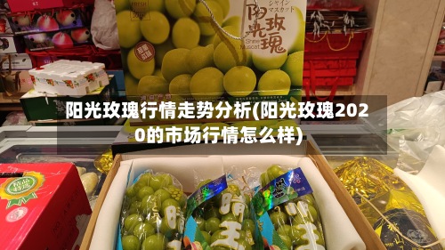 阳光玫瑰行情走势分析(阳光玫瑰2020的市场行情怎么样)-第3张图片