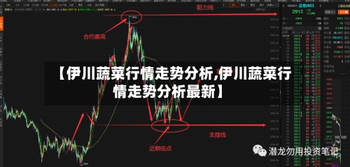 【伊川蔬菜行情走势分析,伊川蔬菜行情走势分析最新】