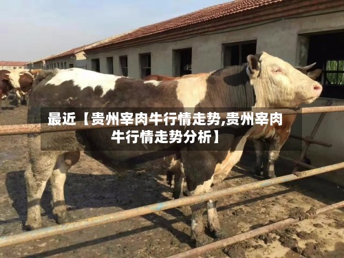 最近【贵州宰肉牛行情走势,贵州宰肉牛行情走势分析】-第2张图片