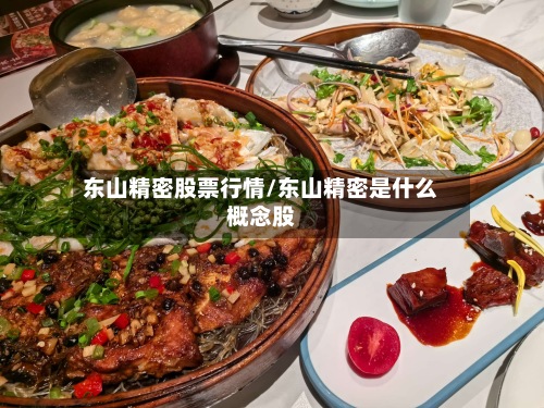 东山精密股票行情/东山精密是什么概念股-第2张图片