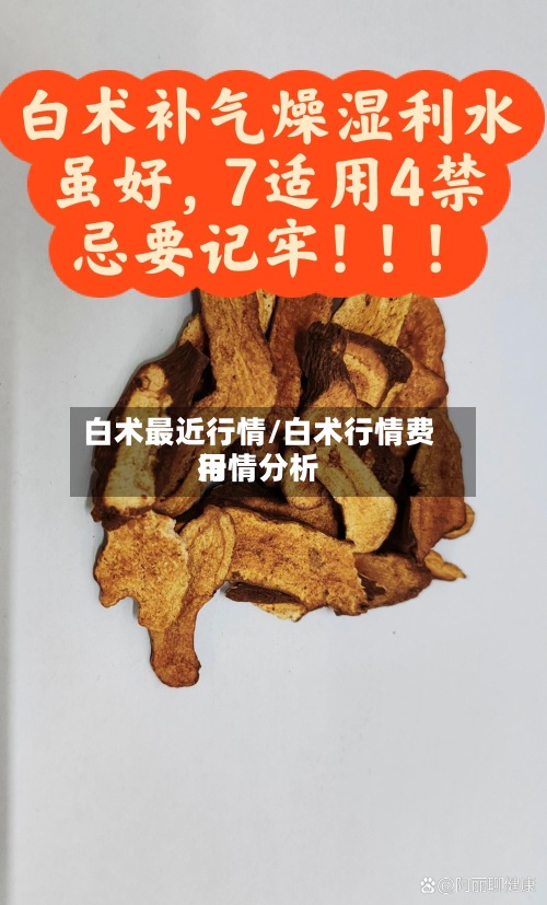 白术最近行情/白术行情费用行情分析-第3张图片