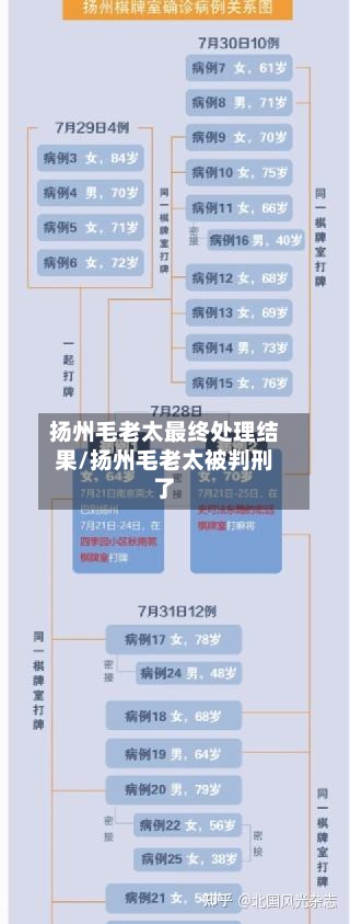 扬州毛老太最终处理结果/扬州毛老太被判刑了-第2张图片