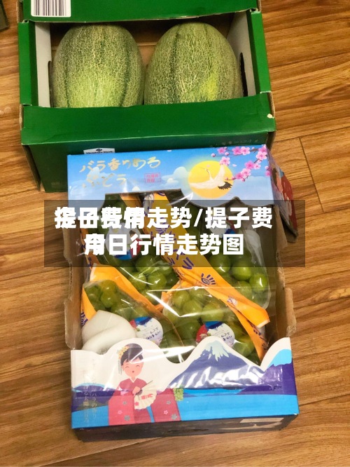 提子费用
今日行情走势/提子费用
今日行情走势图