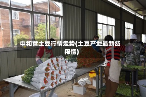 中和营土豆行情走势(土豆产地最新费用行情)-第2张图片