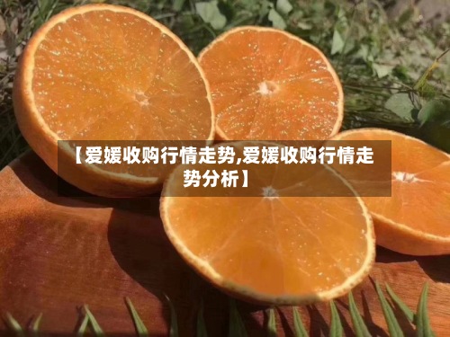 【爱媛收购行情走势,爱媛收购行情走势分析】-第2张图片