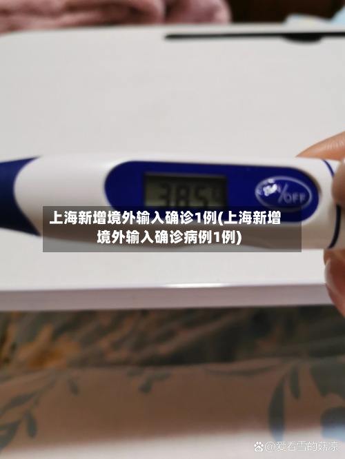 上海新增境外输入确诊1例(上海新增境外输入确诊病例1例)-第2张图片