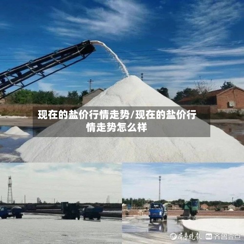 现在的盐价行情走势/现在的盐价行情走势怎么样