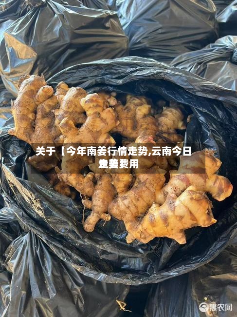 关于【今年南姜行情走势,云南今日生姜费用
走势】