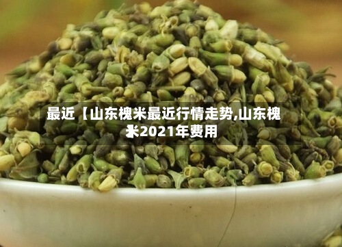 最近【山东槐米最近行情走势,山东槐米2021年费用】-第2张图片
