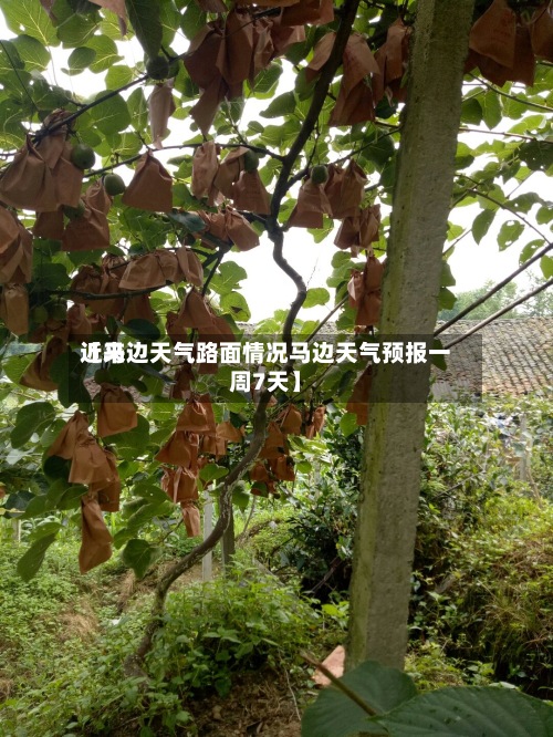 近来【马边天气路面情况马边天气预报一周7天】