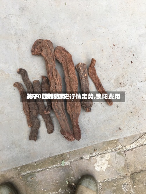 关于【锁阳历史行情走势,锁阳费用
2020最新费用
】