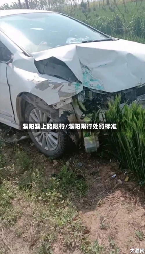 濮阳濮上路限行/濮阳限行处罚标准