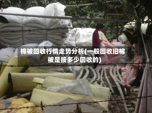 棉被回收行情走势分析(一般回收旧棉被是按多少回收的)