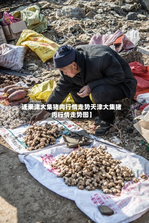 近来
【天津大集猪肉行情走势天津大集猪肉行情走势图】-第3张图片