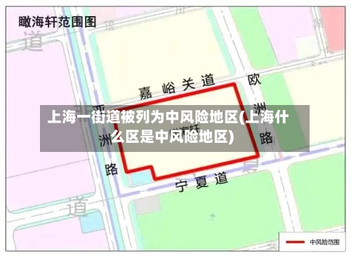 上海一街道被列为中风险地区(上海什么区是中风险地区)-第2张图片