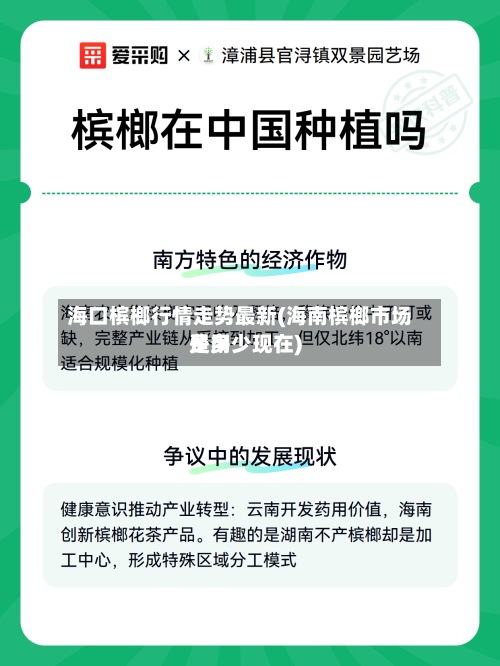 海口槟榔行情走势最新(海南槟榔市场费用
是多少现在)