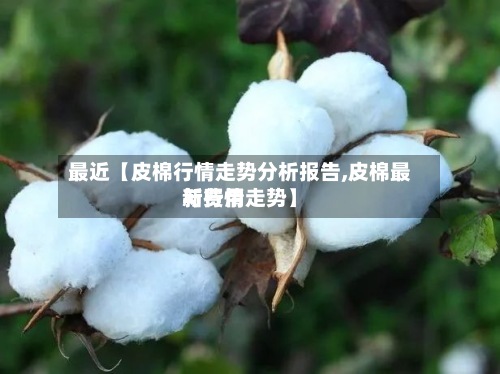 最近【皮棉行情走势分析报告,皮棉最新费用
与行情走势】-第2张图片