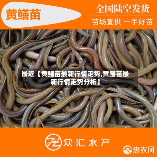 最近【黄鳝苗最新行情走势,黄鳝苗最新行情走势分析】