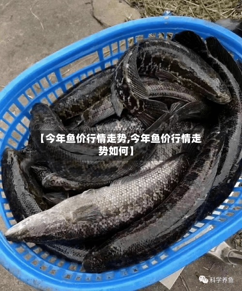 【今年鱼价行情走势,今年鱼价行情走势如何】-第3张图片