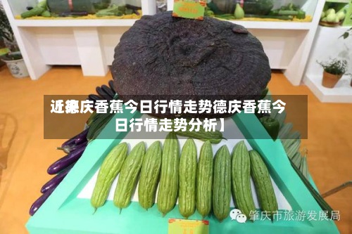 近来【德庆香蕉今日行情走势德庆香蕉今日行情走势分析】