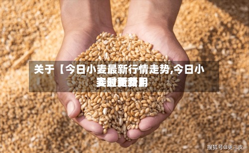 关于【今日小麦最新行情走势,今日小麦最新费用
实时更新】