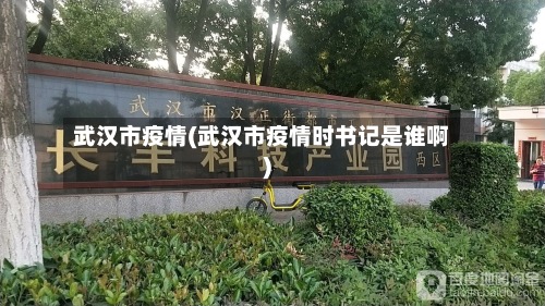 武汉市疫情(武汉市疫情时书记是谁啊)-第2张图片